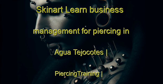 Skinart Learn business management for piercing in Agua Tejocotes | PiercingTraining | PiercingClasses | SkinartTraining-Mexico